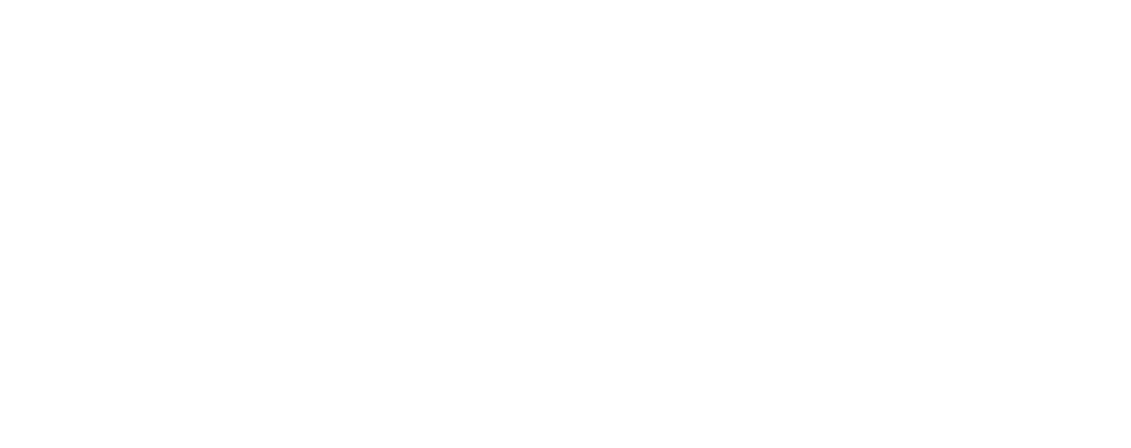 Шинсервиспро